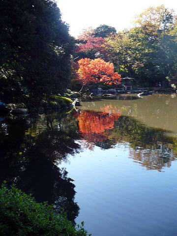 2009_1115_古川庭園６.jpg