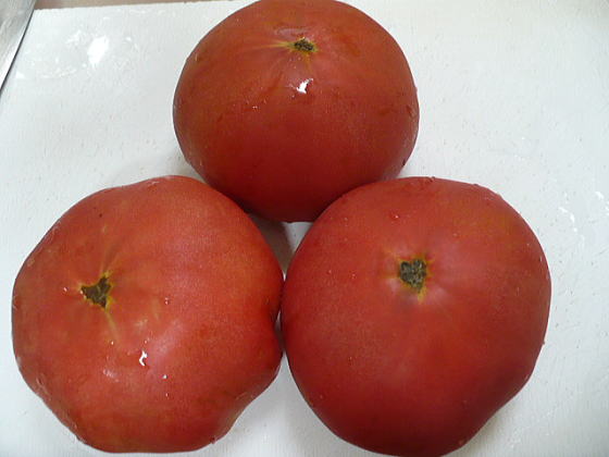 トマト１.jpg